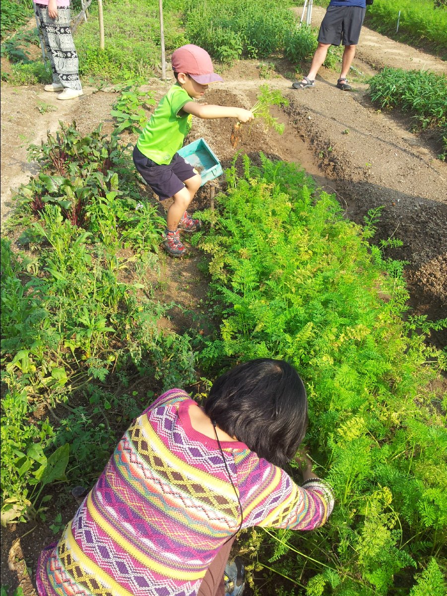 20120422Organic Farm27